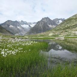 wanderurlaub-wanderferien-alpen-wallis-schweiz-04