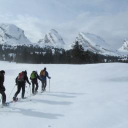 Schneeschuhgruppe wandert durch den Tiefschnee den Churfirsten entgegen.