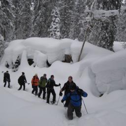 Neuschnee – Schneeschuhwandern durch den frisch verschneiten Wald.