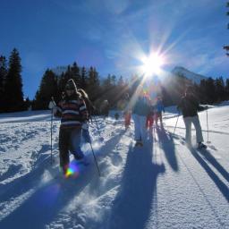 Schneeschuhlaufen im Pulverschnee macht Spass!