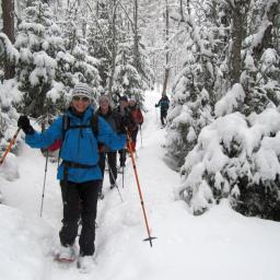 silvester-schneeschuhwandertage