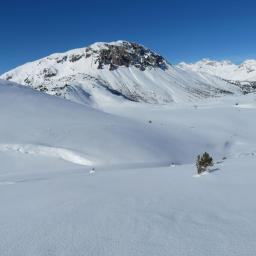 silvester-schneeschuhwandertage