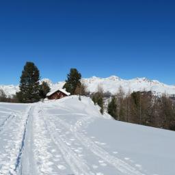 silvester-schneeschuhwandertage