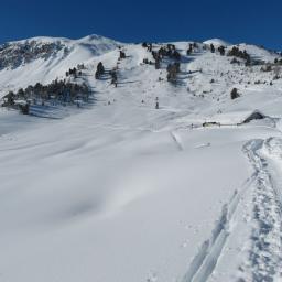 silvester-schneeschuhwandertage