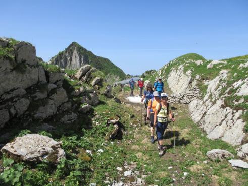 Wandergruppe auf einem Bergpfad zwischen grünen Hängen und vor einem markanten Gipfel.