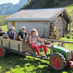 Lustige Wandergruppe hat Spass in einem Kleintraktor mit Holzanhänger.