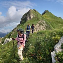 Wandergruppe unterwegs auf dem Wanderweg vom Berggasthaus Tierwis hinunter ins Toggenburg.